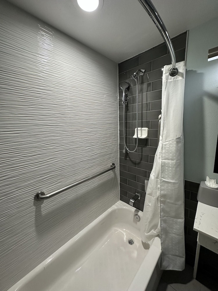 Holiday Inn Express Dallas Downtown - photo 42