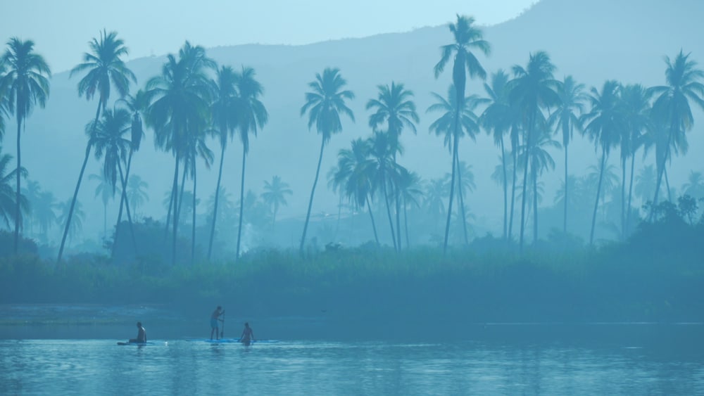 Lake