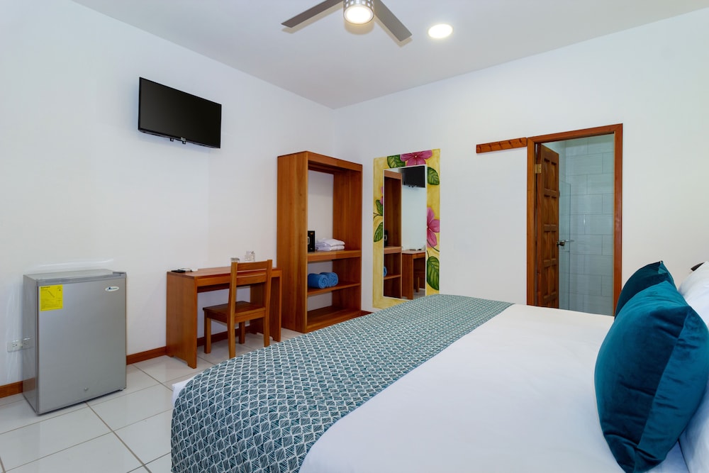 Plaza Luna Suites — Puerto Ayora — photo 5