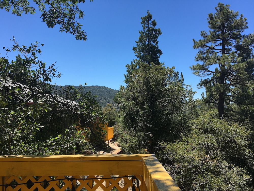 Idyllwild Bunkhouse - photo 46