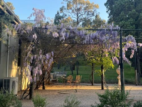Baerami Pines Retreat in Unknown City, Australia