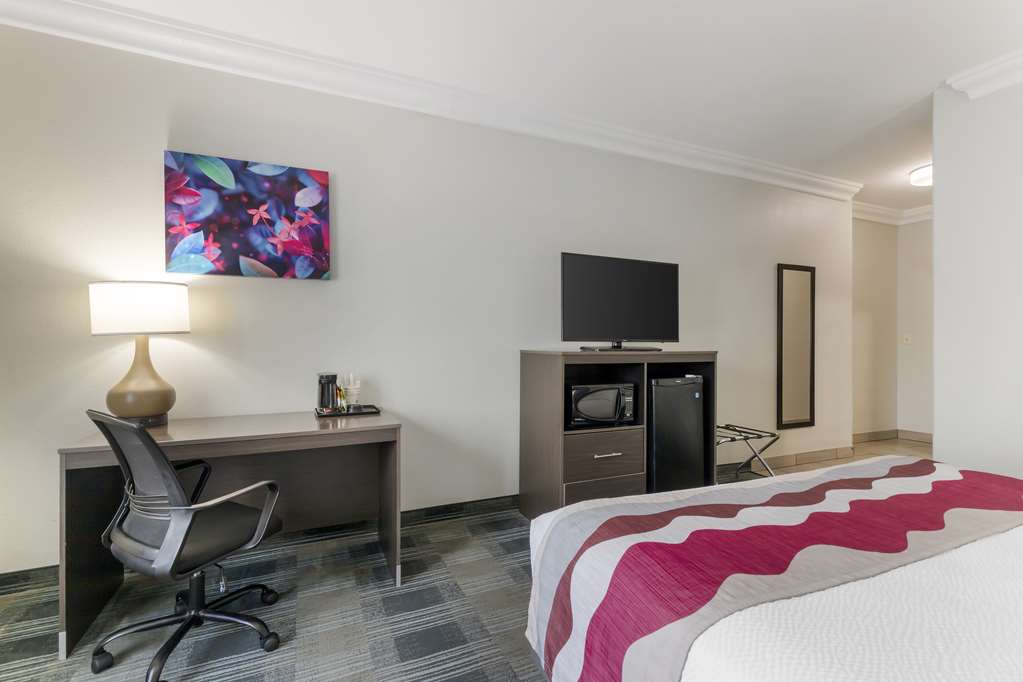 Best Western Medical Center North Inn & Suites Near Six Flags - photo 34