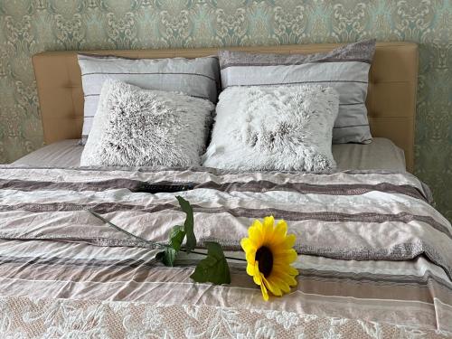 Paris Evening — 4-Star Luxury Hotel in Chisinau, Moldova