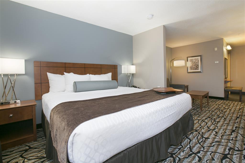 Best Western Plus Blaine at the National Sports Center - photo 51