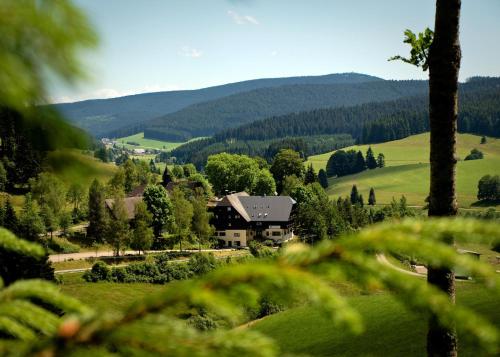 Kuckucksnest Jostal — Titisee Neustadt