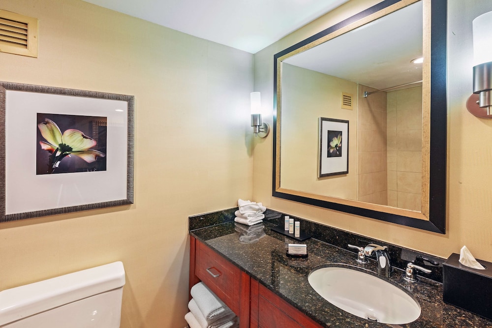 Embassy Suites by Hilton Greensboro Airport - photo 14