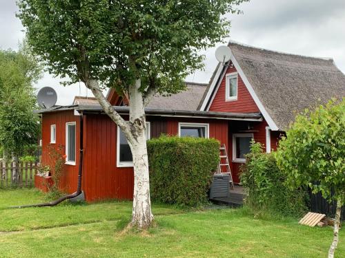 Zur Schwalbe 8 - last minute hotel in Unknown City