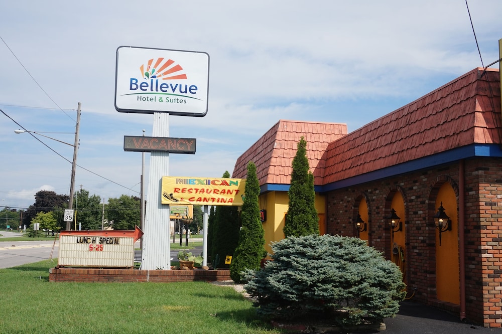 Bellevue Hotel & Suites - photo 64