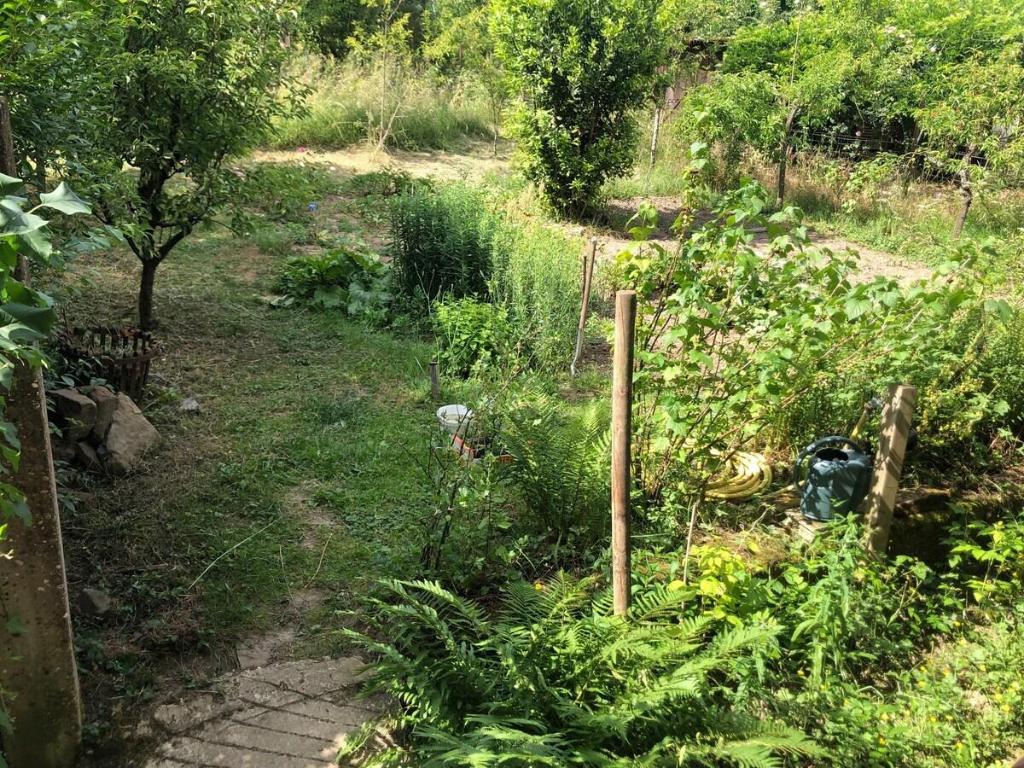 Gite du Ried — Bischwiller — photo 5