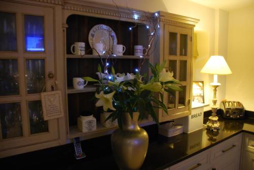 Springdale Guest House