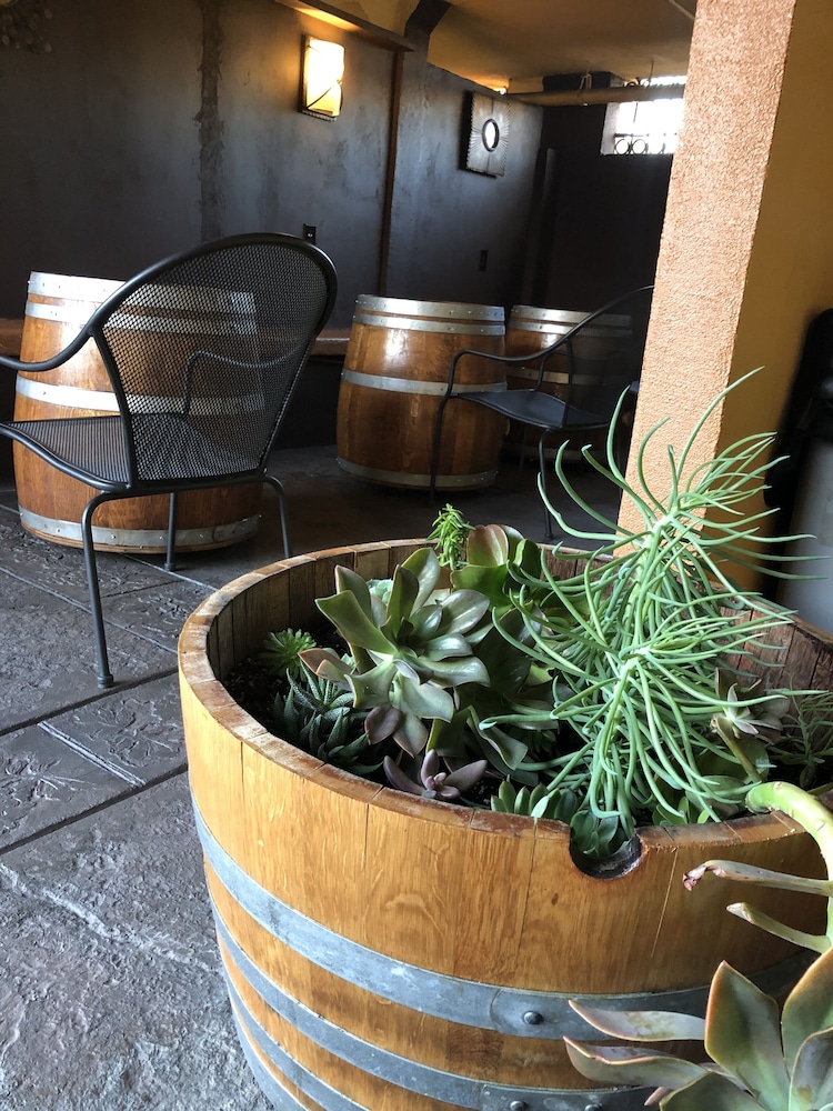 Napa Valley Hotel & Suites - photo 56