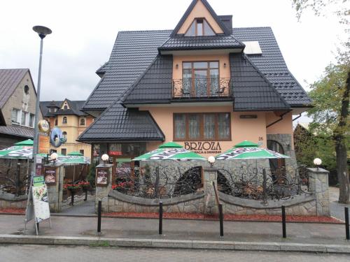 Brzoza W Centrum Zakopanego — Zakopane