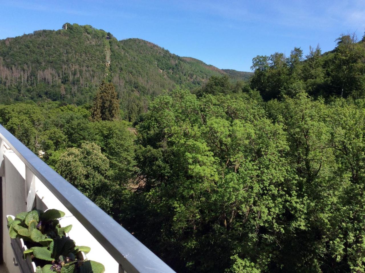 Relax im Wald — 4-Star Luxury Hotel in Bad Harzburg, Germany