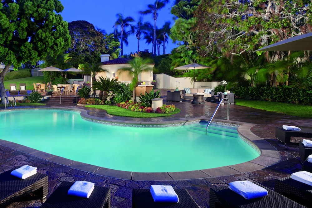 The Ritz Carlton Laguna Niguel - photo 103