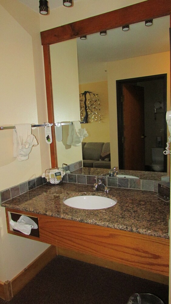 Spearfish Canyon Lodge - photo 70