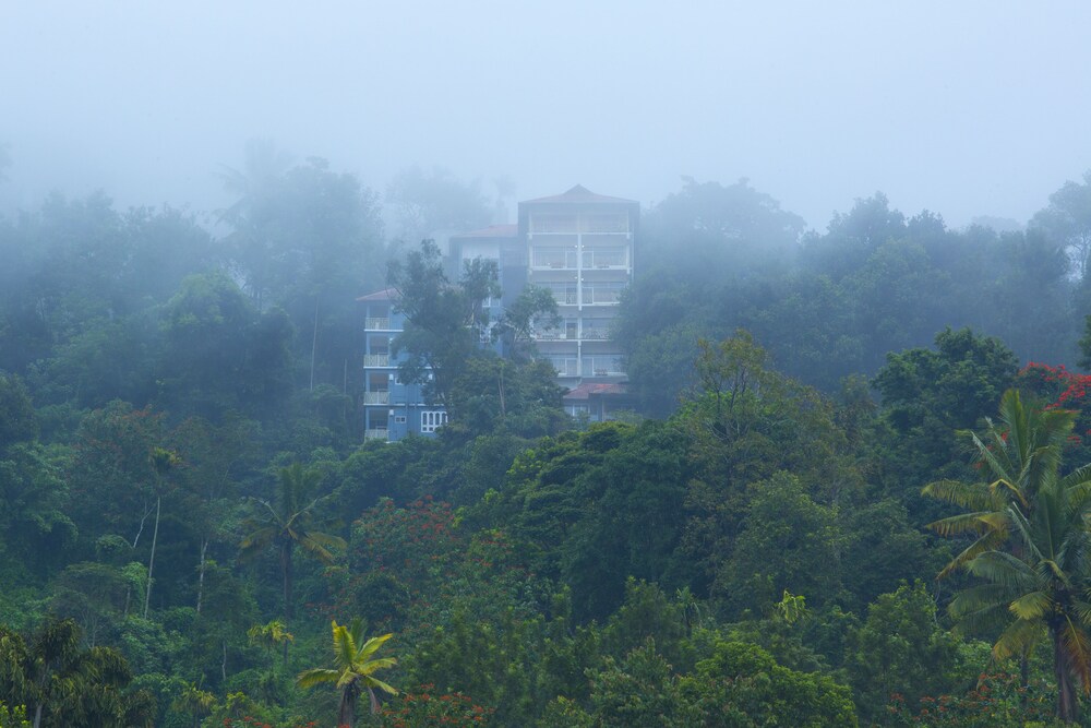Spice Country Resort — Munnar — photo 2