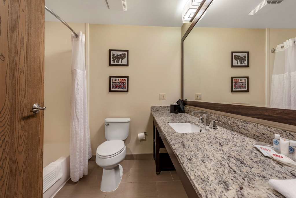 Comfort Suites Mason near Kings Island - photo 9