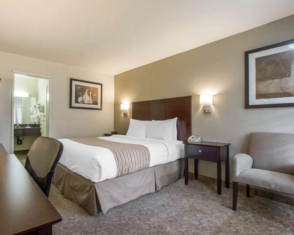 Rodeway Inn Los Angeles Convention Center - photo 15