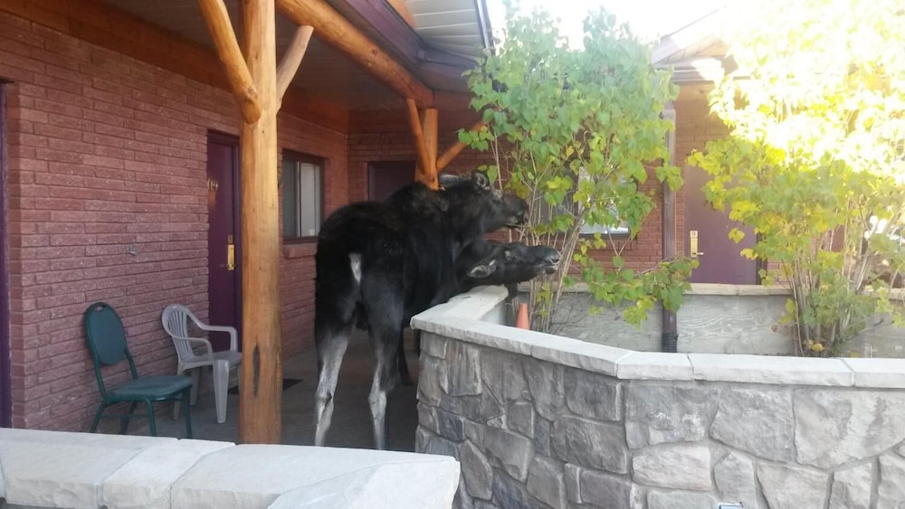 Sundance Motel - photo 27