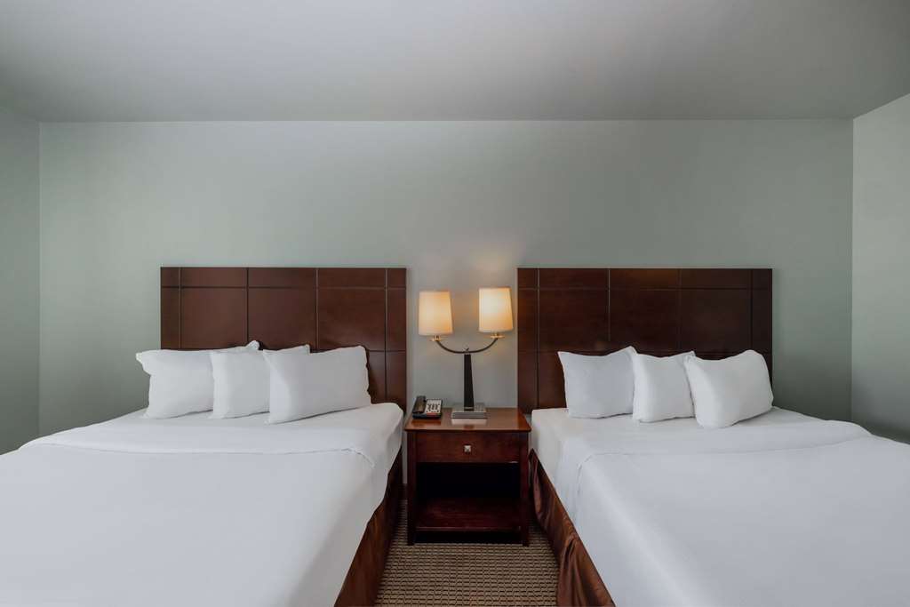 Baymont by Wyndham Rapid City - photo 15