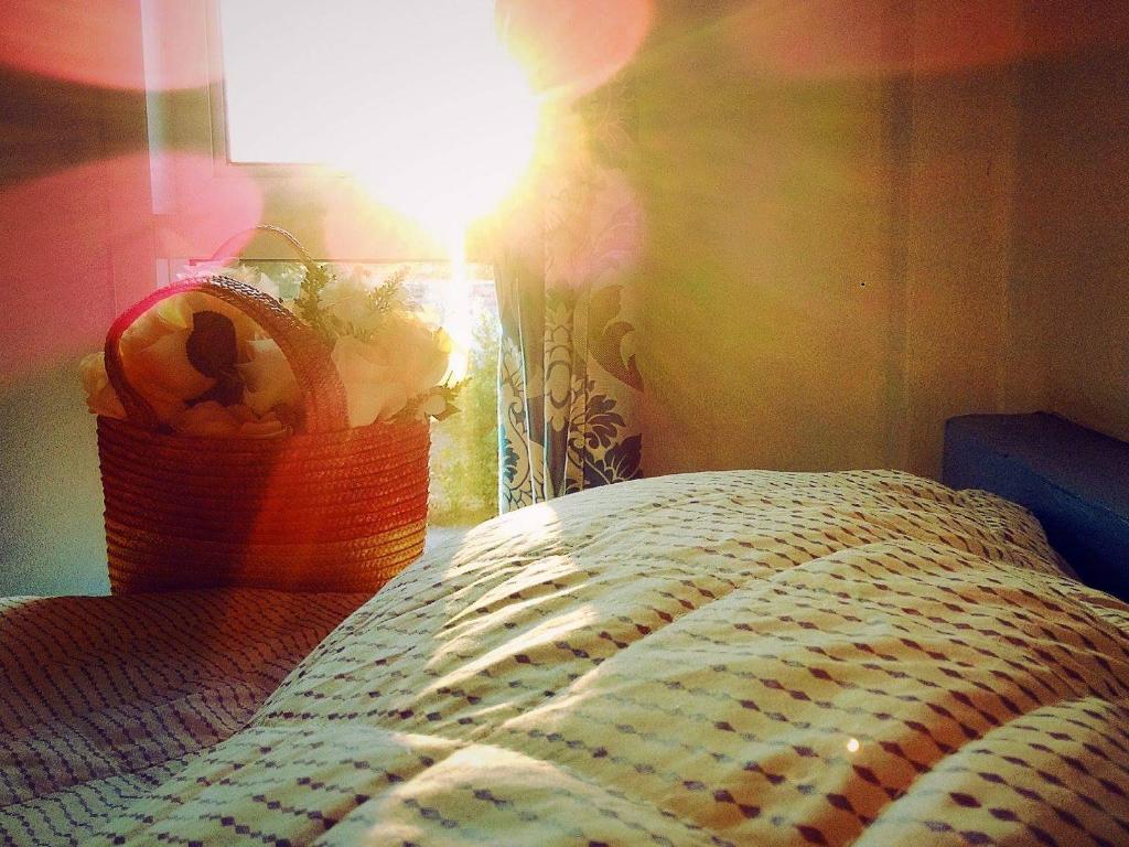 Two T Resort in Sukhothai, Thailand