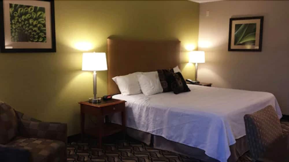 Wingfield Inn - photo 10