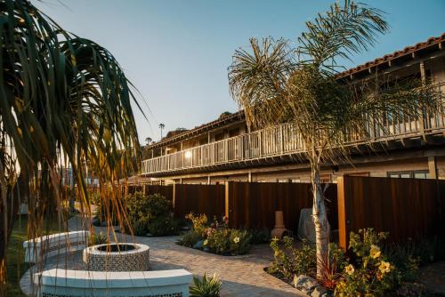 El Caminante Bar & Bungalows - photo 16