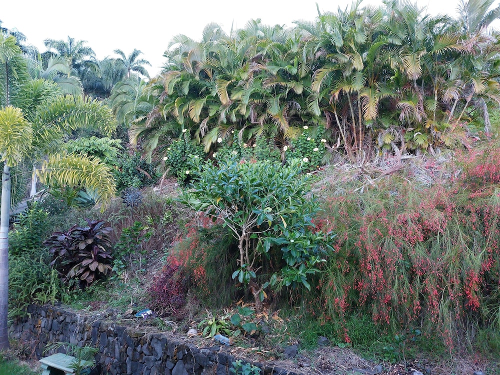 Kona Palace in Captain Cook - photo 23