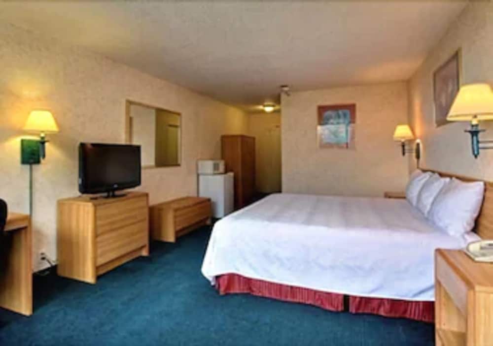Airport Inn Flint - photo 7