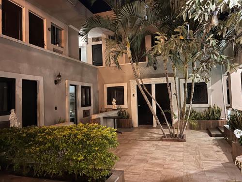 Eco Hotel Black Tree in Mazatlan, Mexico