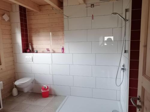Blockbohlenhaus Steiner Lodge — Steinen — photo 3
