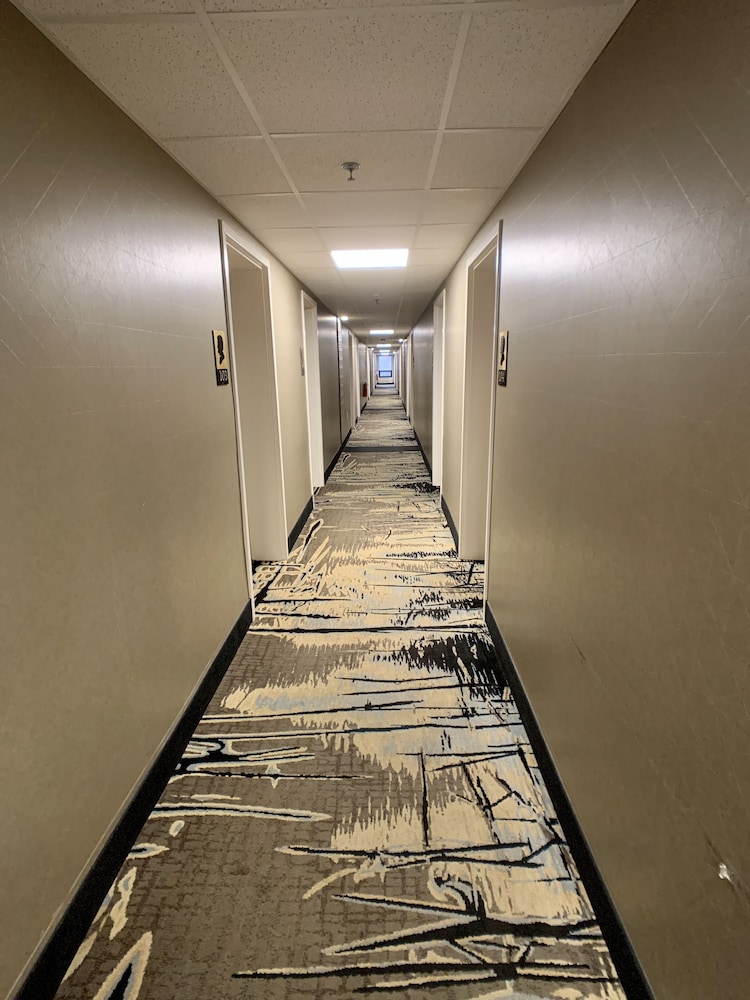Lincoln Hotel Philadelphia - photo 16