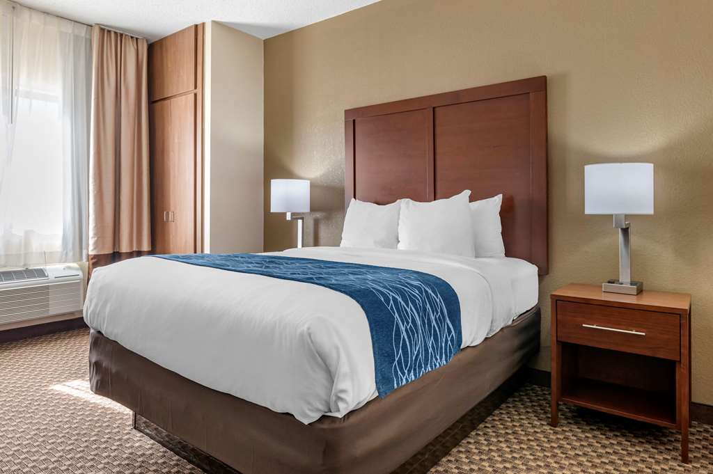 Comfort Inn Near Kokomo Speedway - photo 22