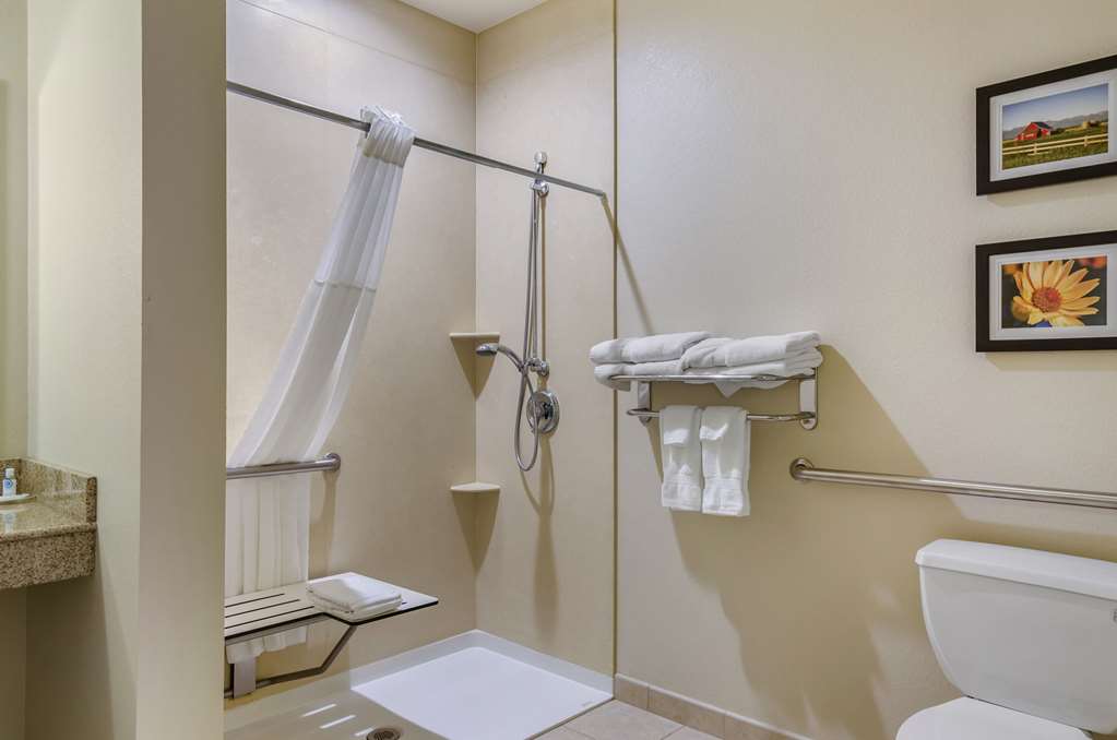 Comfort Suites Helena Airport - photo 20