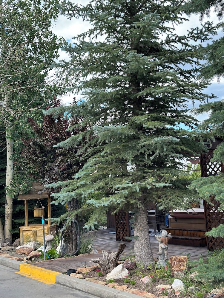 Browns Canyon Inn - photo 98