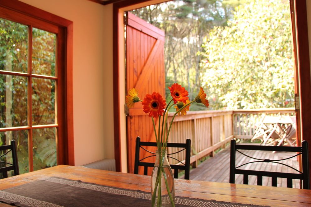 The Coromandel Treehouse — 4-Star Luxury Hotel in Coromandel, New Zealand