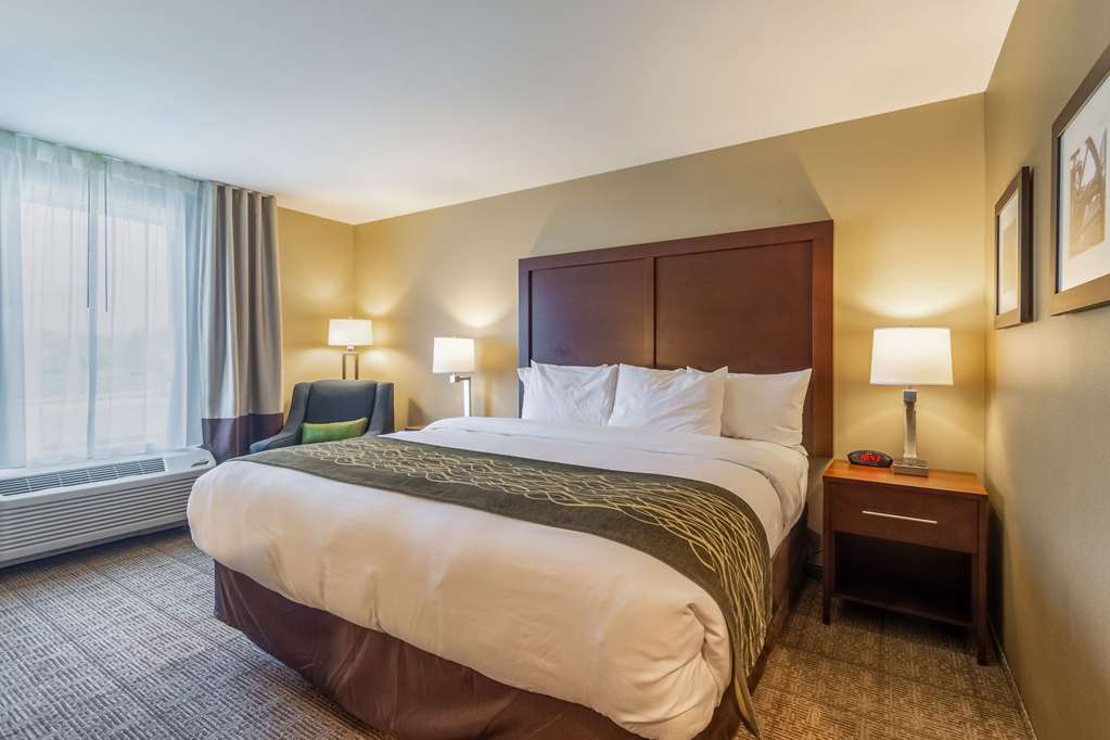 Comfort Inn & Suites Harrisburg Airport Hershey South - photo 11