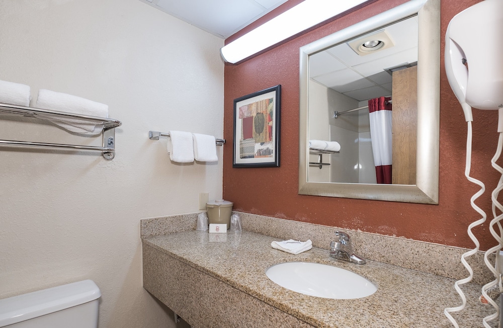 Red Roof Inn and Suites Cleveland Elyria - photo 12
