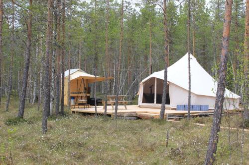 Västerled Glamp - carbon neutral hotel in Asele