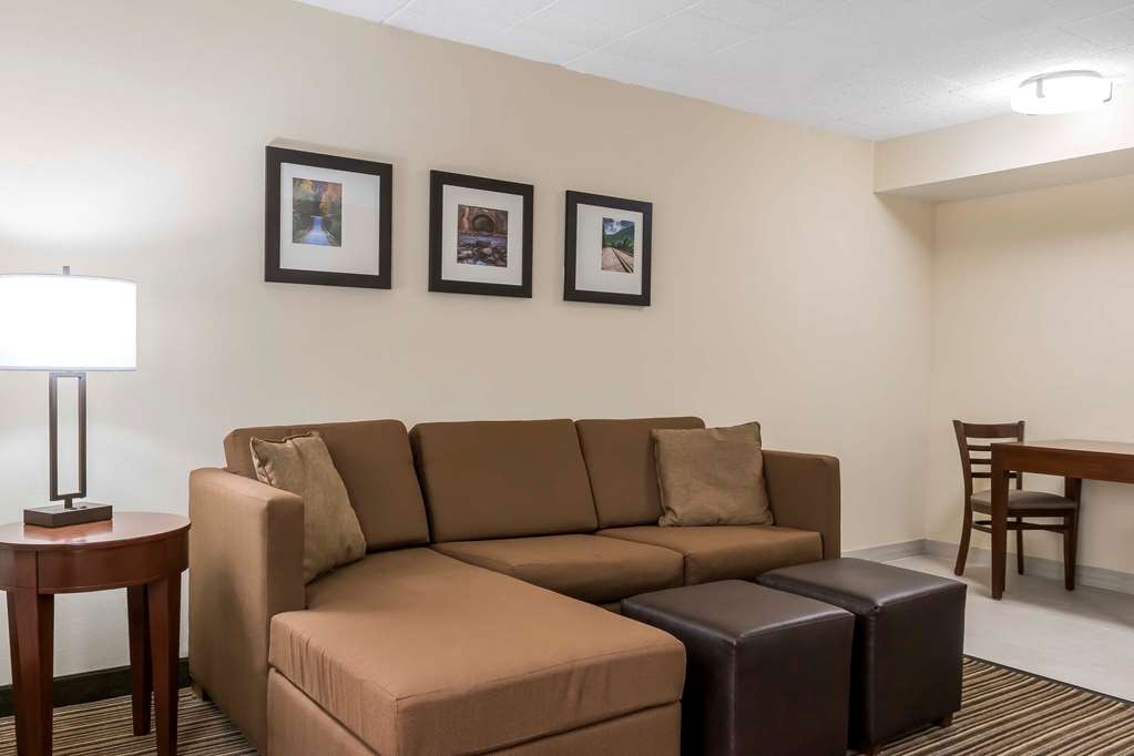Comfort Inn Pocono Mountains - photo 18