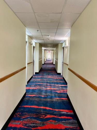 Super 8 Motel Ripley - photo 4