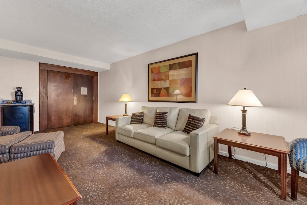 Buffalo Airport Hotel - photo 31