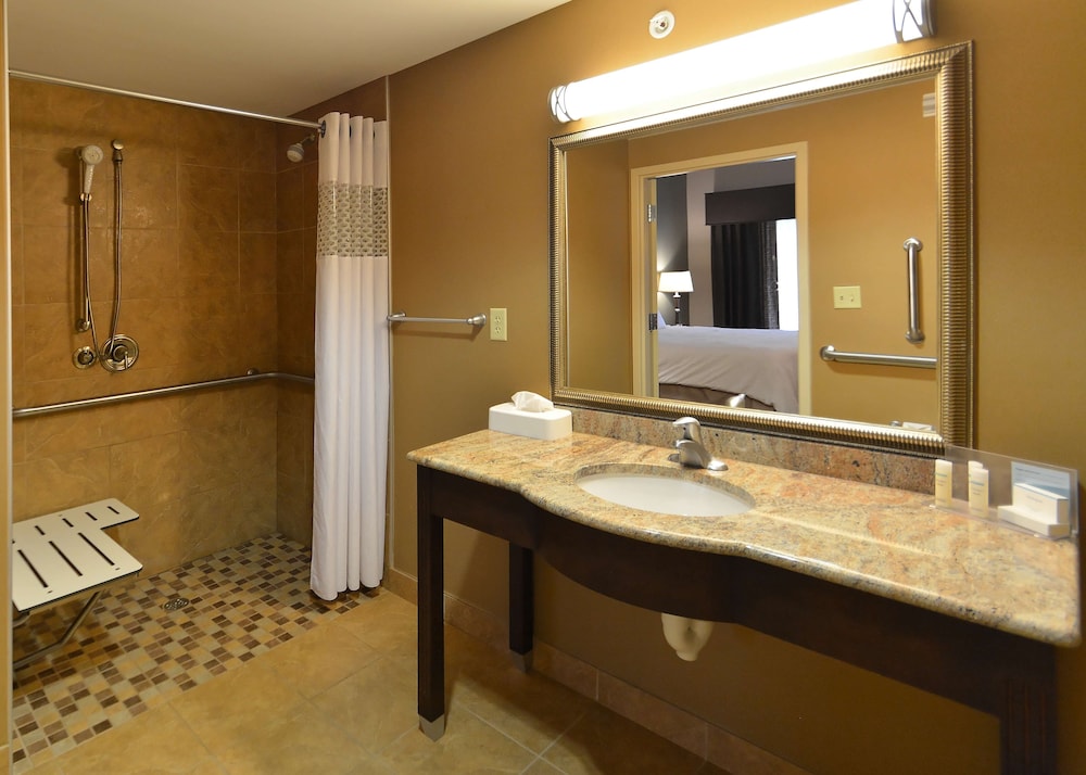 Hampton Inn Geneseo - photo 28