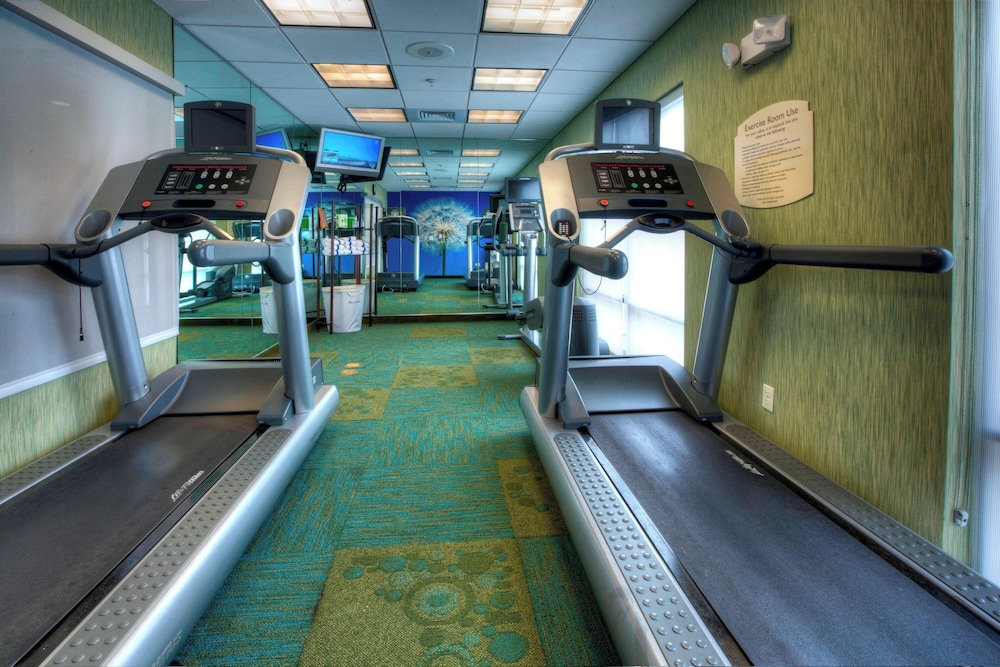 Springhill Suites by Marriott Tampa Brandon - photo 10