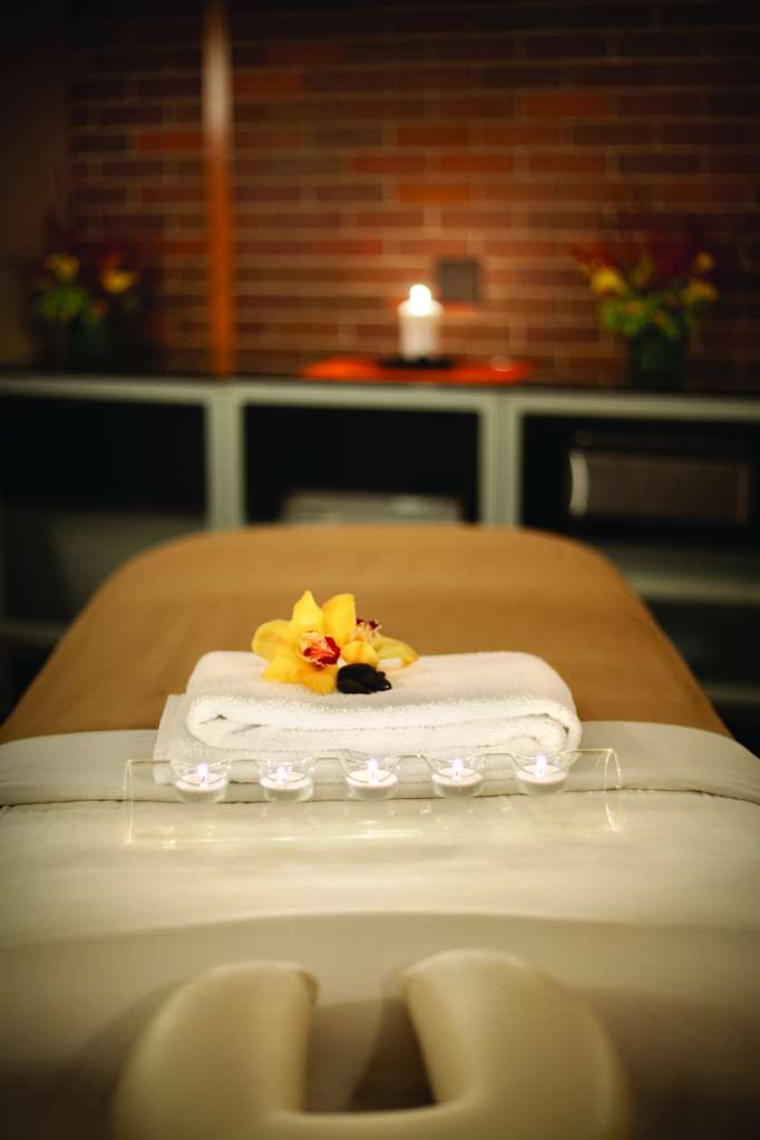 Hyatt Lodge Oak Brook Chicago - photo 9