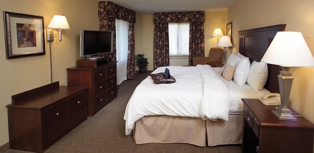 Hampton Inn Schenectady Downtown - photo 4