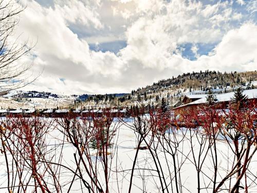 Deer Valley Resort - photo 11
