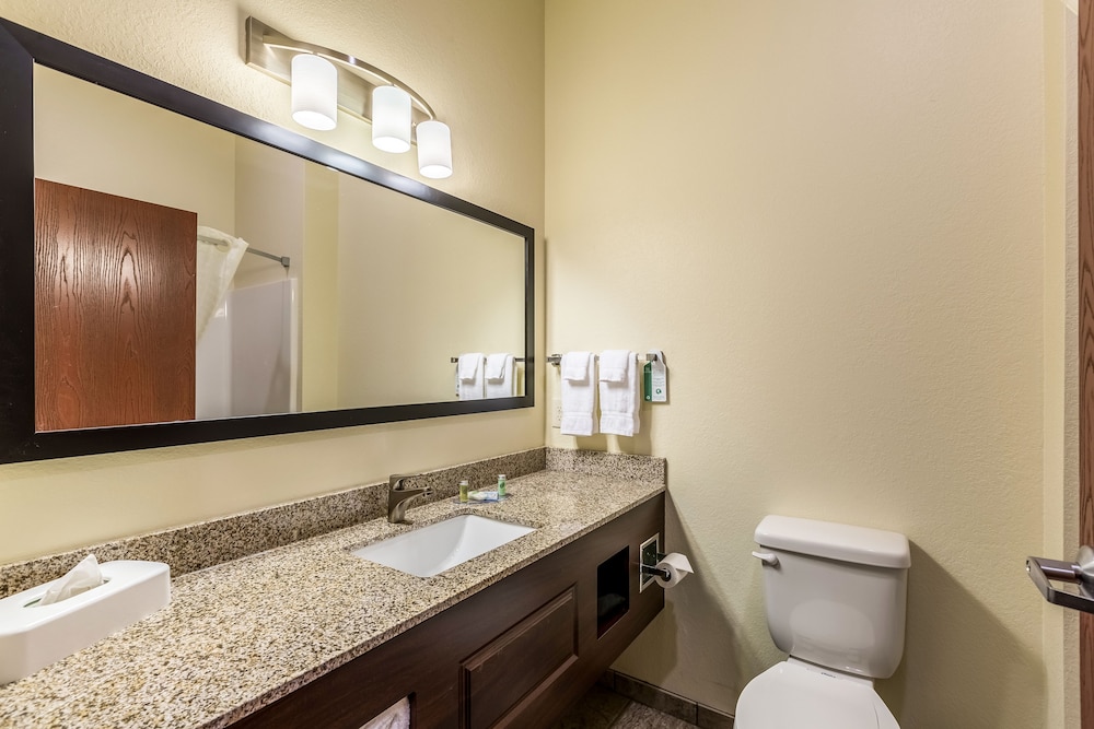 Cobblestone Inn & Suites Fairfield Bay - photo 11