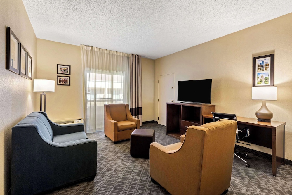 Comfort Inn Roswell Dunwoody - photo 19