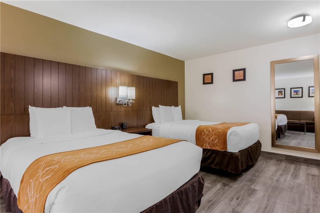 Comfort Suites Tucson near Sabino Canyon - photo 23